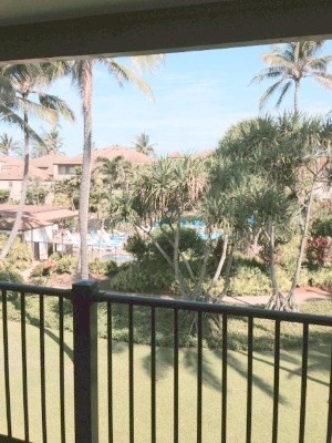 4-1250 KUHIO HWY, Kapaa, HI 96746