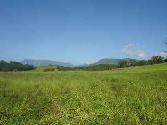 18-B Iana Place, Kapaa, HI 96746