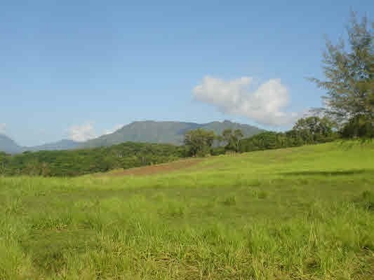 18-B Iana Place, Kapaa, HI 96746