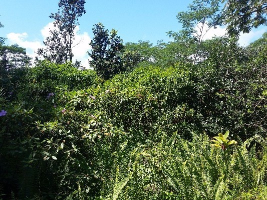 12TH AVE, Keaau, HI 96749