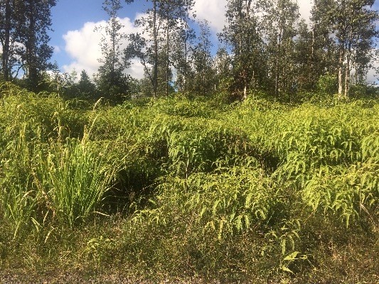 36TH AVE, Keaau, HI 96749