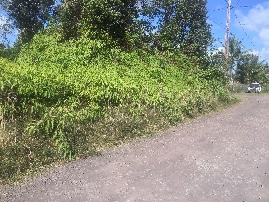 36TH AVE, Keaau, HI 96749