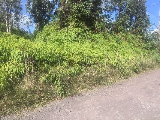 36TH AVE, Keaau, HI 96749