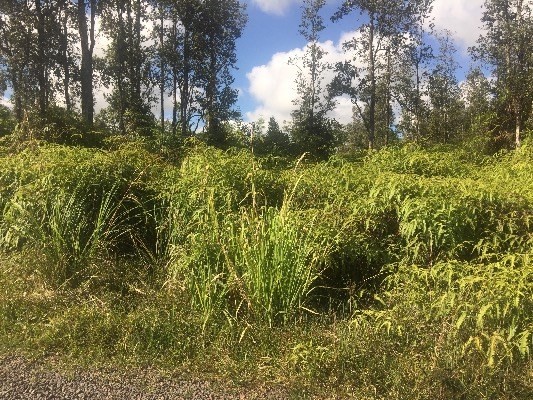 36TH AVE, Keaau, HI 96749