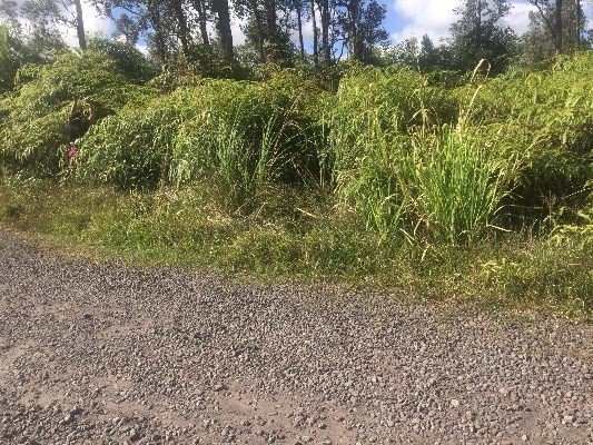 36TH AVE, Keaau, HI 96749