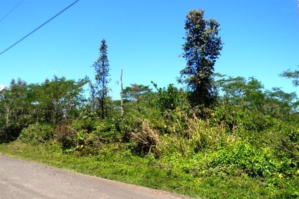 12TH AVE, Keaau, HI 96749