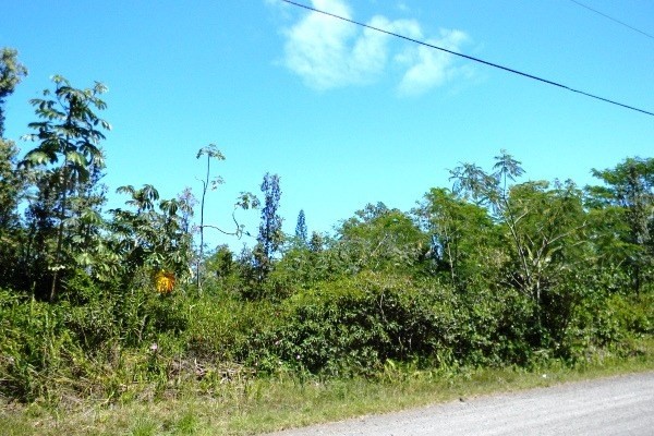 12TH AVE, Keaau, HI 96749