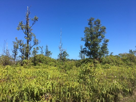 1ST AVE, Keaau, HI 96749