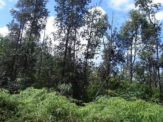 RAILRD RD, Keaau, HI 96749