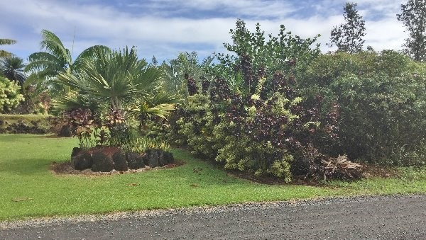 15-1591 10TH AVE, Keaau, HI 96749