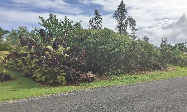 15-1591 10TH AVE, Keaau, HI 96749
