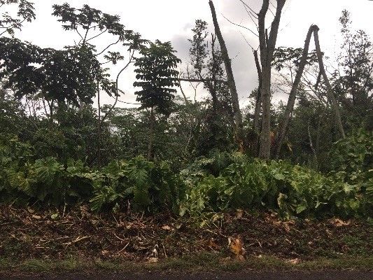 3RD AVE, Keaau, HI 96749