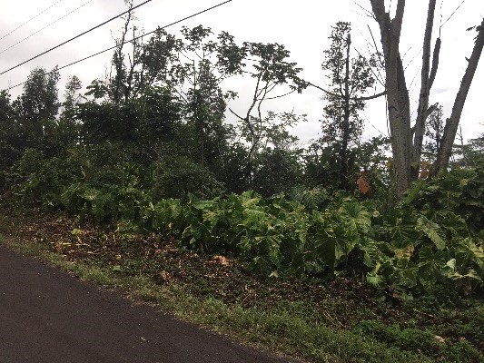 3RD AVE, Keaau, HI 96749