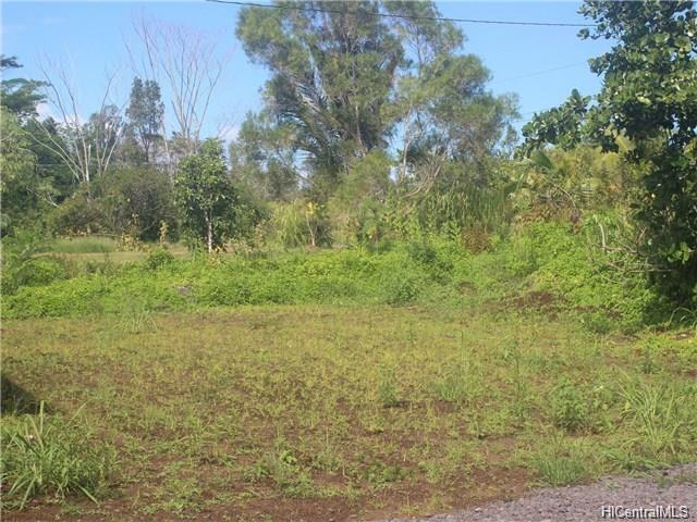 15-1941 4th Avenue, Keaau, HI 96749
