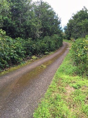 Kainaliu, HI 96750