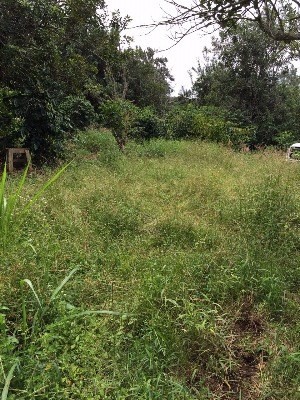 Kainaliu, HI 96750