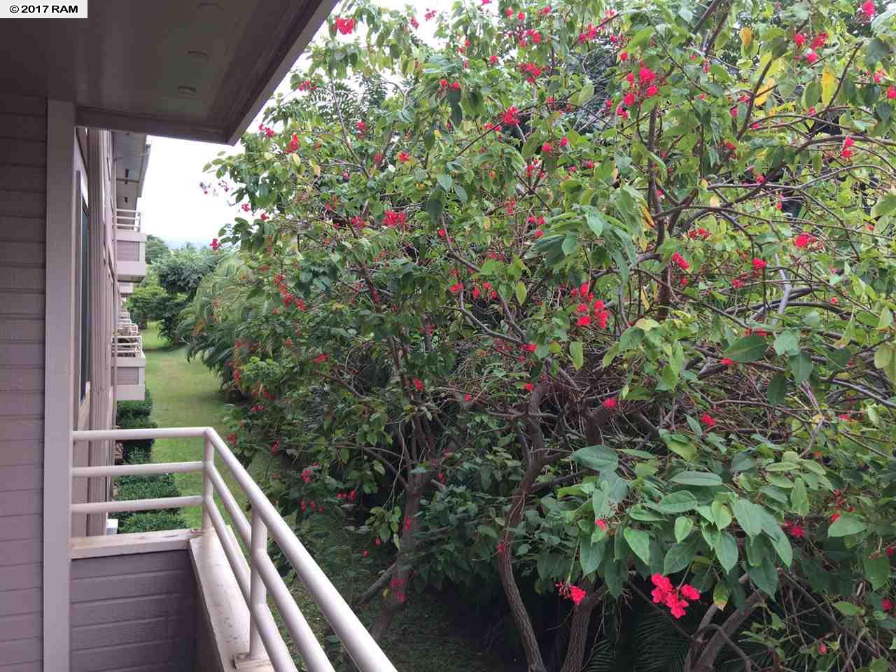 2747 S Kihei, Kihei, HI 96753