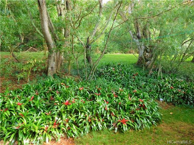 1751 Kalae Highway, Kualapuu, HI 96757