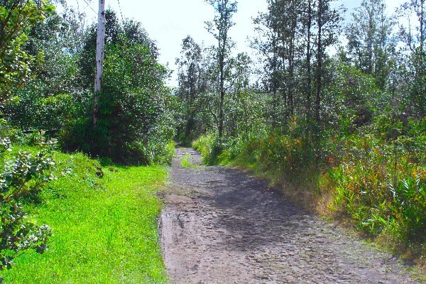 ROAD 10 , Kurtistown, HI 96760