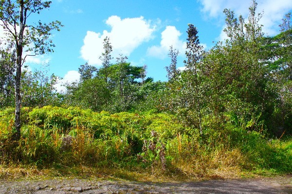 ROAD 10 , Kurtistown, HI 96760