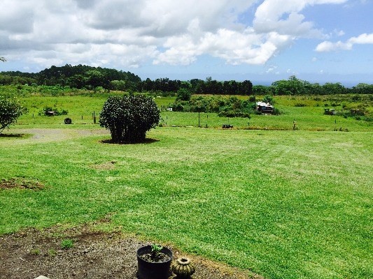 17-4807 NORTH RD, Kurtistown, HI 96760
