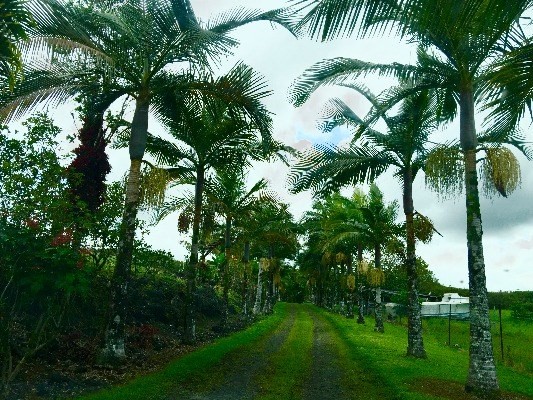 17-4807 NORTH RD, Kurtistown, HI 96760