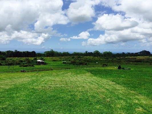 17-4807 NORTH RD, Kurtistown, HI 96760