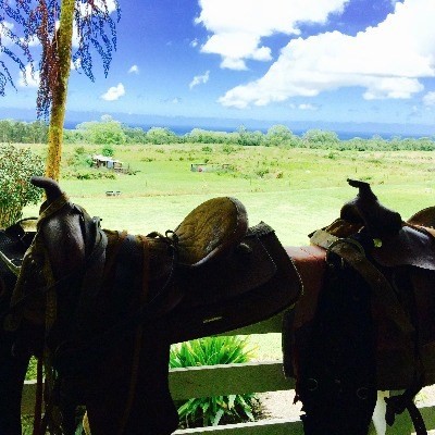 17-4807 NORTH RD, Kurtistown, HI 96760
