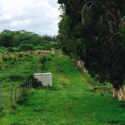 17-4807 NORTH RD, Kurtistown, HI 96760