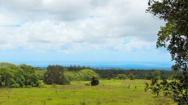 South Road, Kurtistown, HI 96760