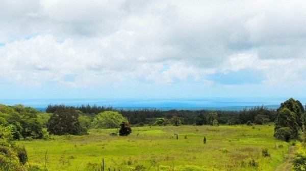South Road, Kurtistown, HI 96760