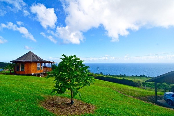36-269 MANWAIOPAE HOMESTEAD RD, Laupahoehoe, HI 96764