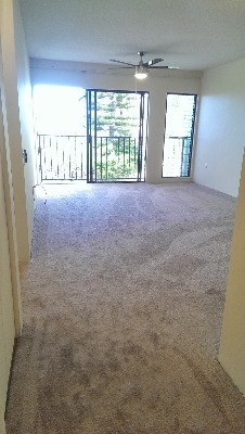 3-3400 KUHIO HWY, Lihue, HI 96766