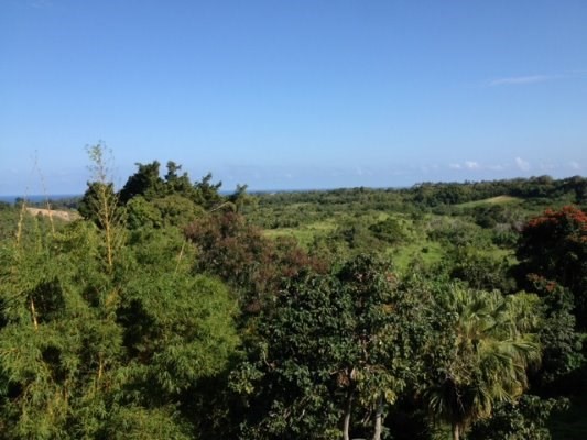 3-3400 KUHIO HWY, Lihue, HI 96766
