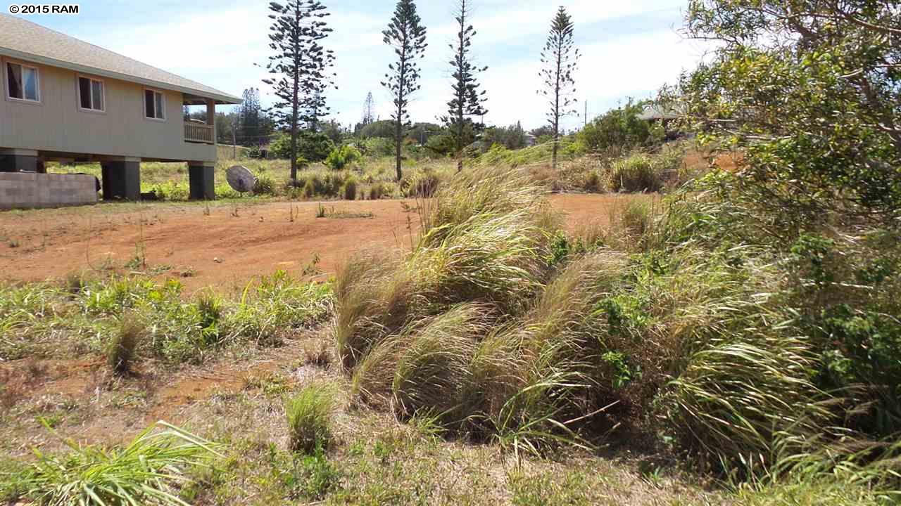 D57HALENA, Maunaloa, HI 96770
