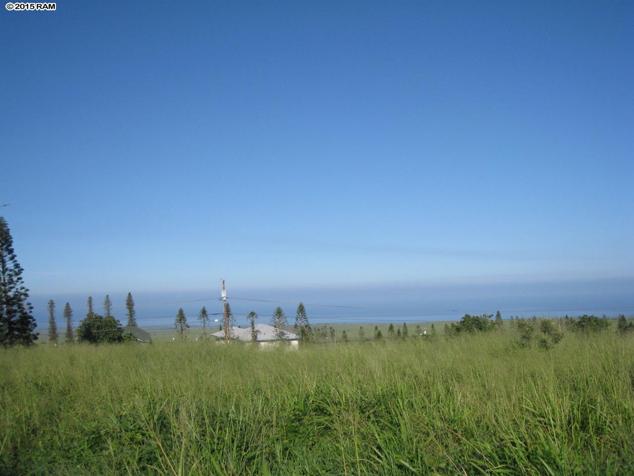 D57HALENA, Maunaloa, HI 96770