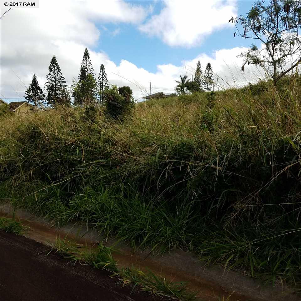 D17Mahiki, Maunaloa, HI 96770