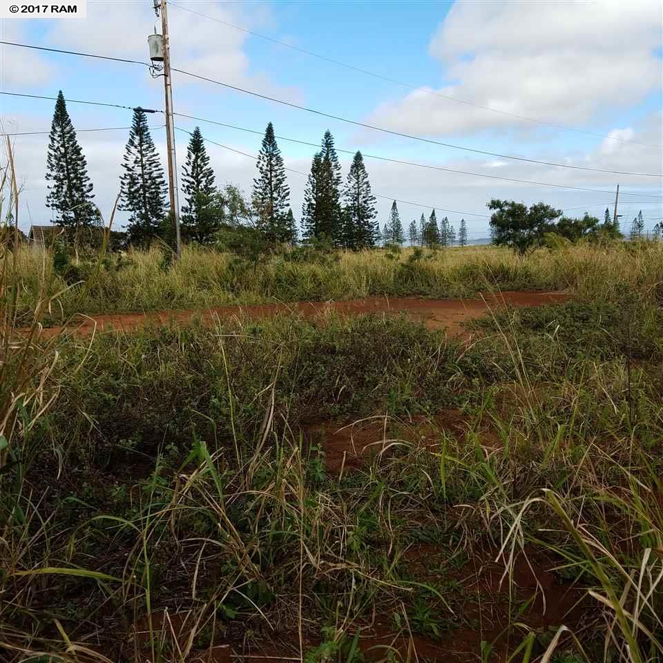 D17Mahiki, Maunaloa, HI 96770