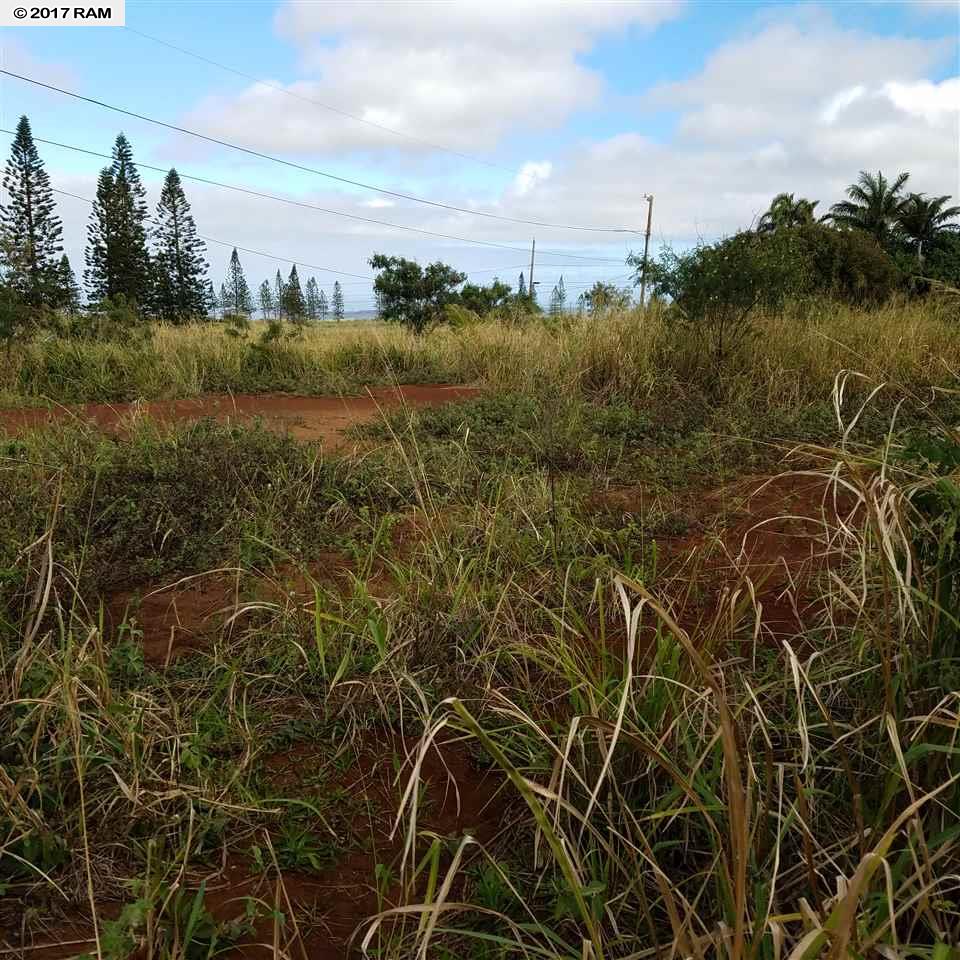 D17Mahiki, Maunaloa, HI 96770