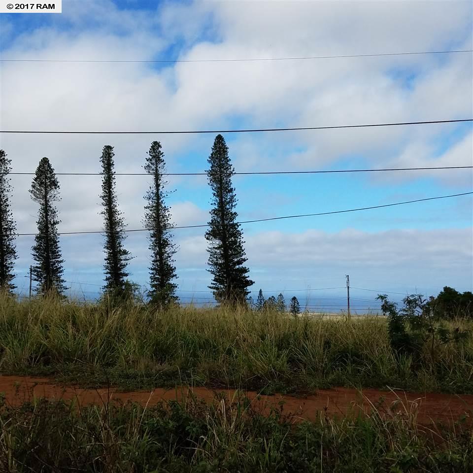 D17Mahiki, Maunaloa, HI 96770
