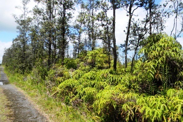 ROAD 4 , Mountain View, HI 96771