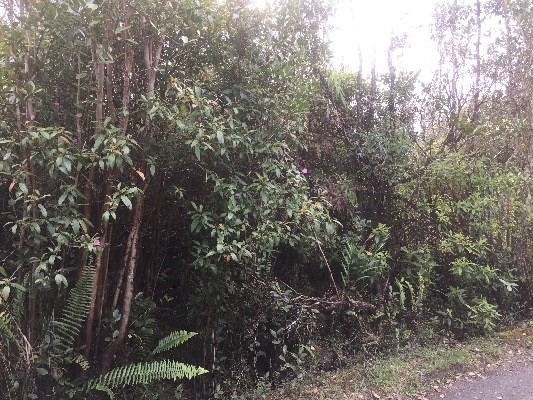 ROAD 5 , Mountain View, HI 96771