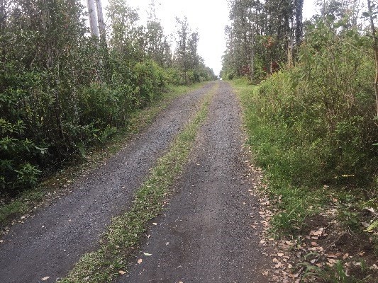 ROAD 5 , Mountain View, HI 96771