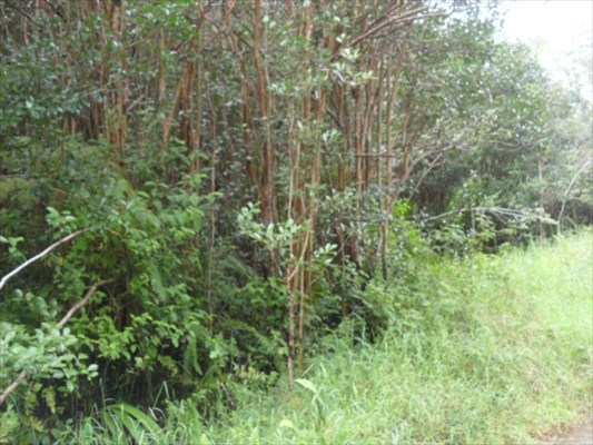 ROAD 9 , Mountain View, HI 96771