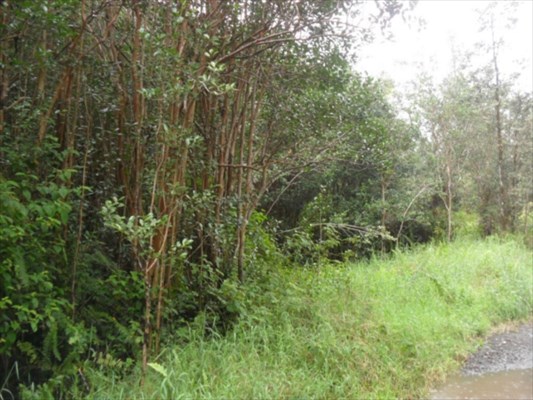 ROAD 9 , Mountain View, HI 96771