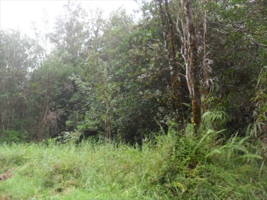 ROAD 9 , Mountain View, HI 96771