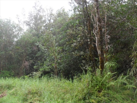 ROAD 9 , Mountain View, HI 96771