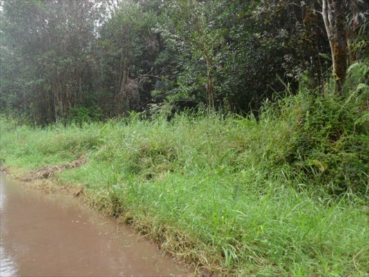 ROAD 9 , Mountain View, HI 96771