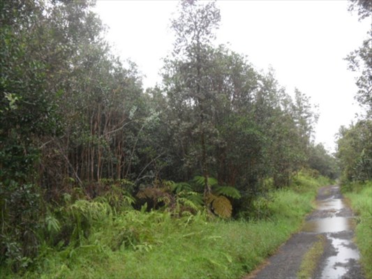 ROAD 9 , Mountain View, HI 96771