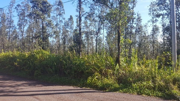 ROAD 7 , Mountain View, HI 96771